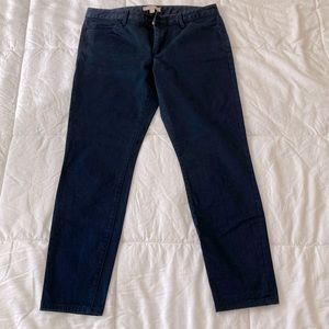 Dark Navy Banana Republic Sz 29 Crop Pant